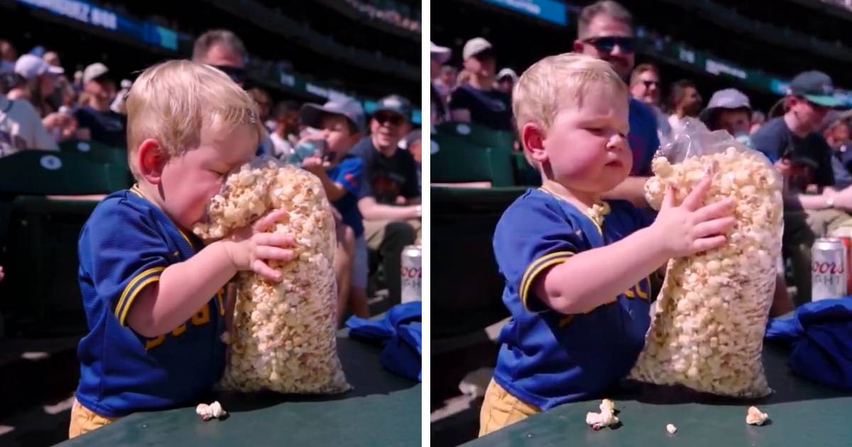 little boy loves popcorn mariners game