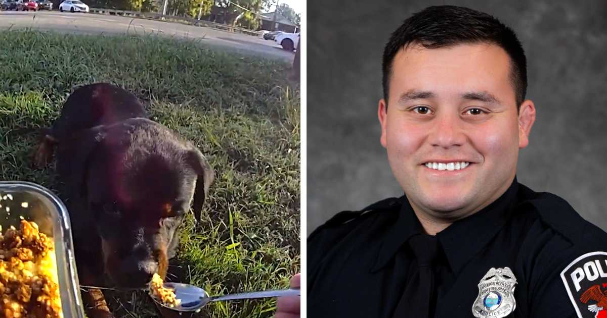 police officer feeding injured dog