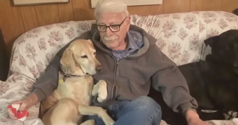 rescue dog reunited with owner