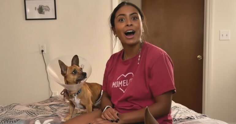 rescue dog spanish reaction