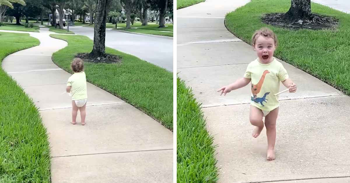 ice cream truck reaction
