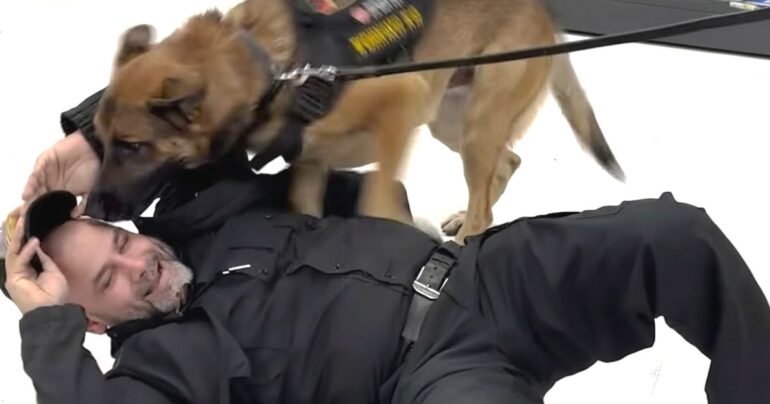k9 recognizes first handler