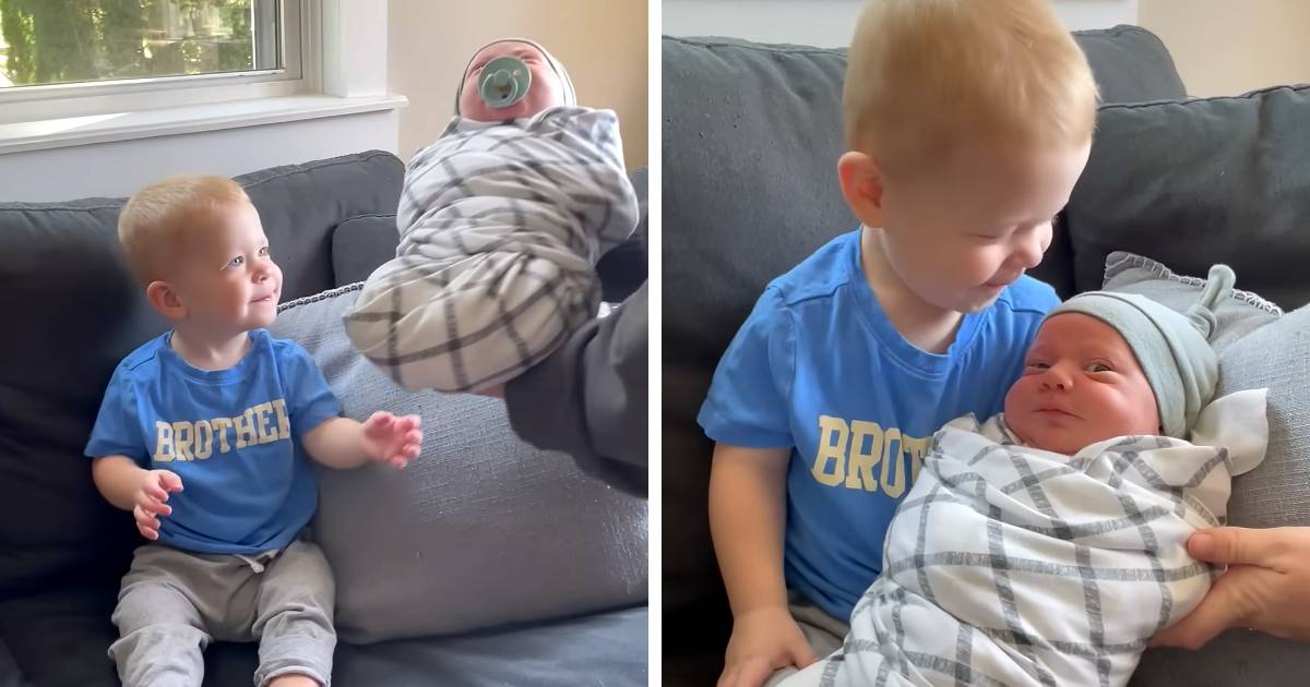toddler meeting newborn sibling