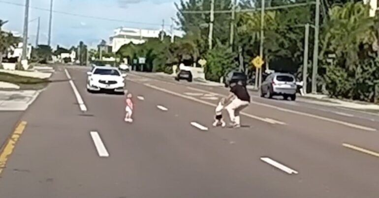 toddlers wandering on busy highway