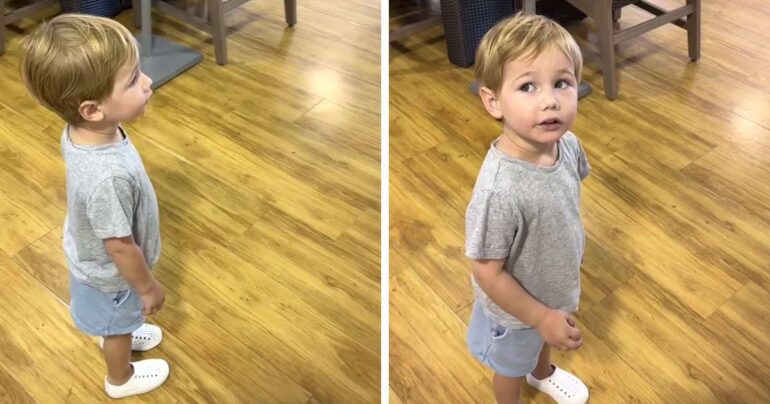 2 year old about birds