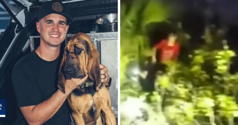 dog finds missing boy with autism