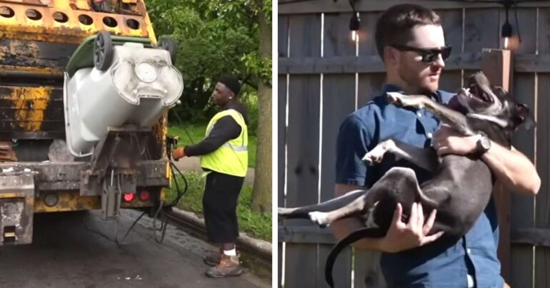 dog thrown in garbage milwaukee