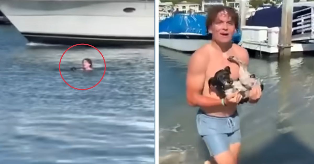 teen saves drowning dog