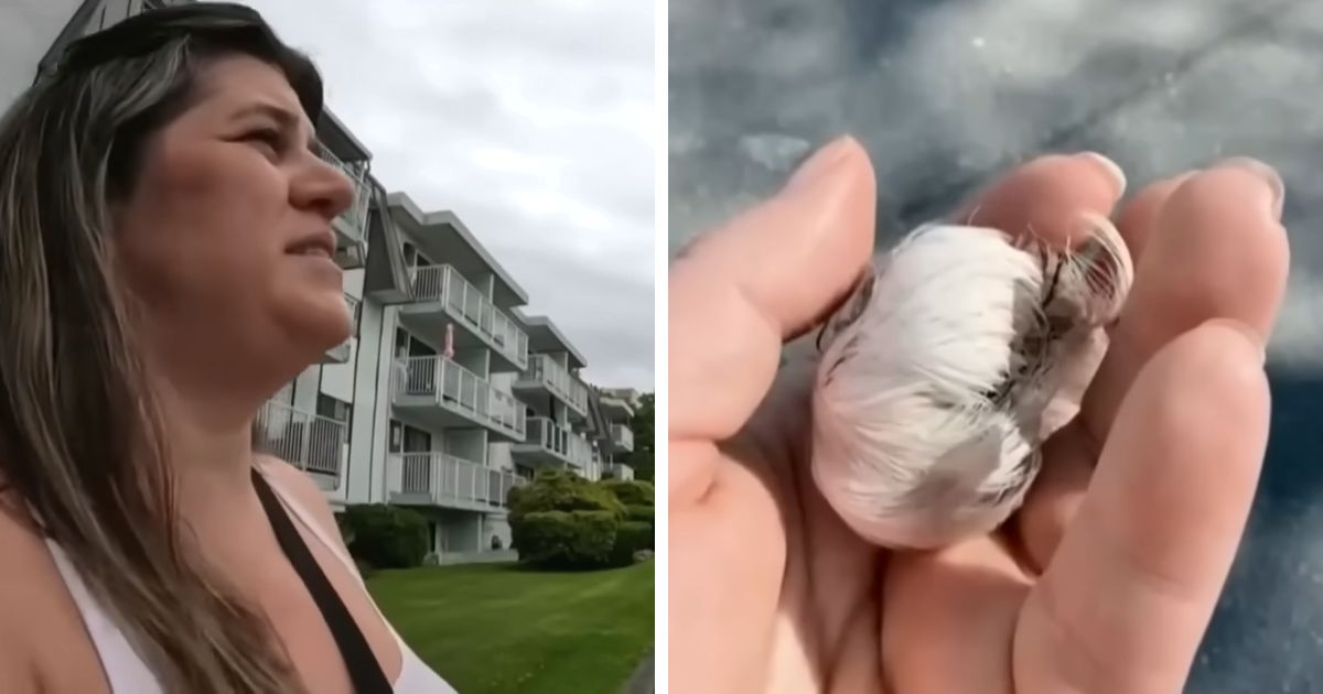 woman receives thank you gifts from birds canada