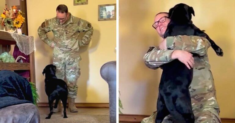 blind dog military reunion