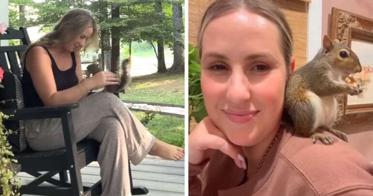 rescued squirrel visits woman every day