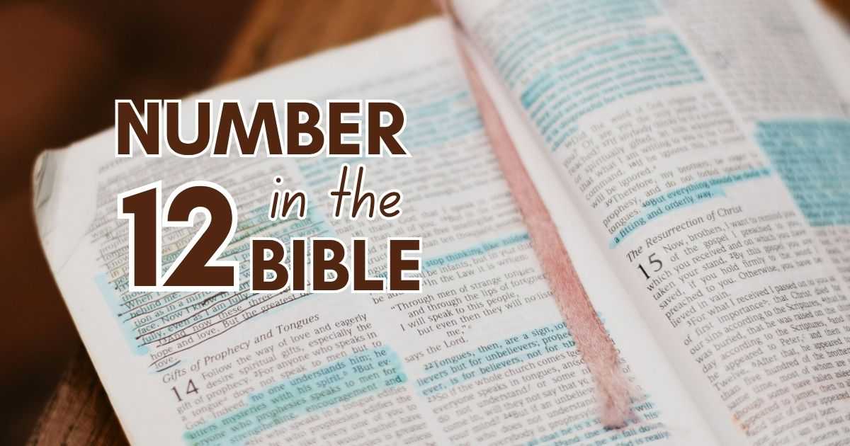 biblical meaning number 12