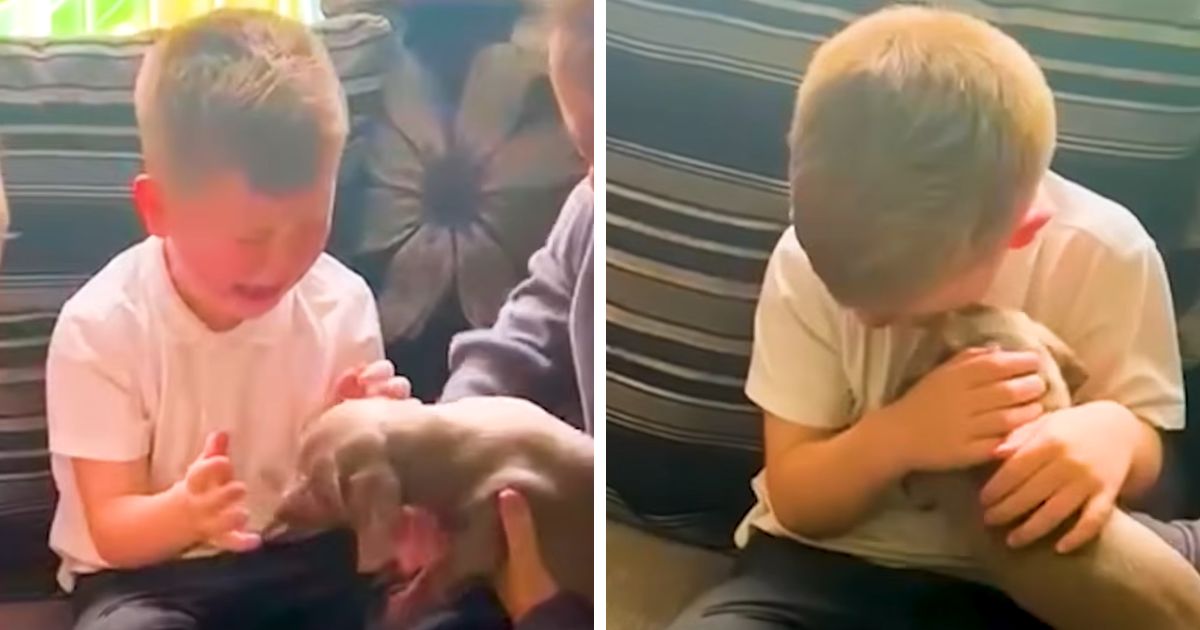 little boy surprised with puppy